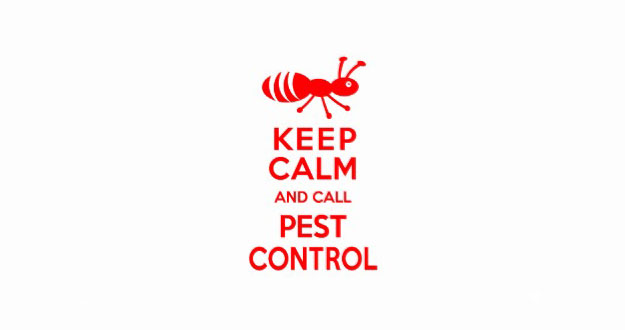 Preventative Pest Control in and near Tarpon Springs Florida