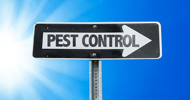 Business Pest Control in and near Brooksville Florida