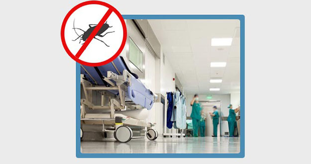 Doctor Office Pest Control in and near Homosassa Springs Florida