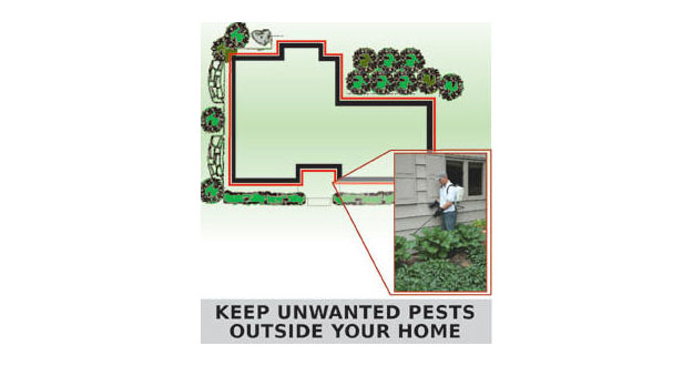 Perimeter Pest Control Sprays in and near Homosassa Springs Florida
