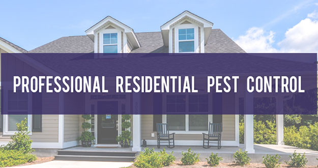 Residential Pest Control in and near Homosassa Springs Florida