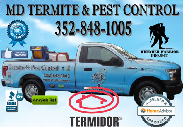 Pest Control in and near Tampa, Spring Hill Florida
