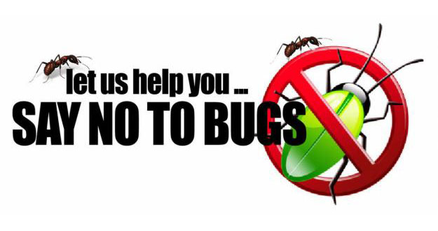 Home Pest Control in Florida