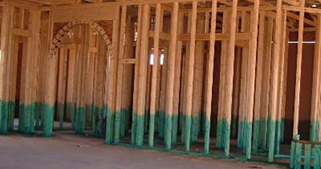 Bora Care Termite Control in and near Brooksville Florida