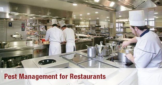 Restaurant Pest Control in and near Brooksville Florida