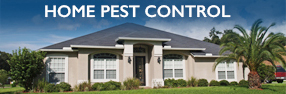 Pest Control