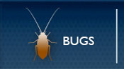 Pest Control