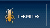 Pest Control