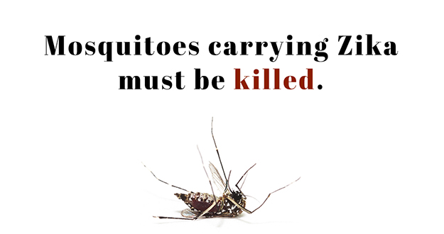 Zika Mosquito Pest Control in Florida