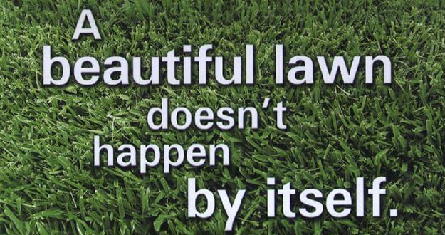 Lawn Fertilization in and near Wesley Chapel Florida