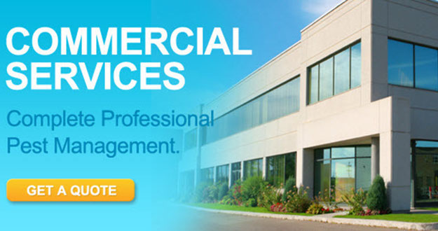 Commercial Pest Control in and near Zephyr Hills Florida