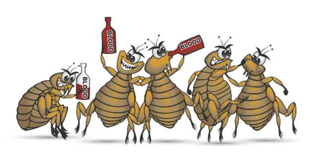 Flea Pest Control in and near Zephyr Hills Florida