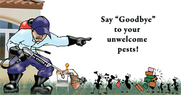 Indoor Pest Control in and near Zephyr Hills Florida