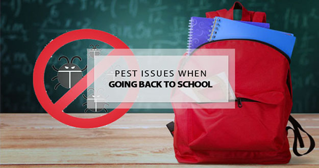 School Pest Control in and near Zephyr Hills Florida