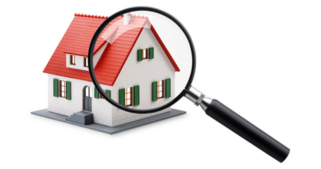Termite Inspections Pest Control in and near Zephyr Hills Florida